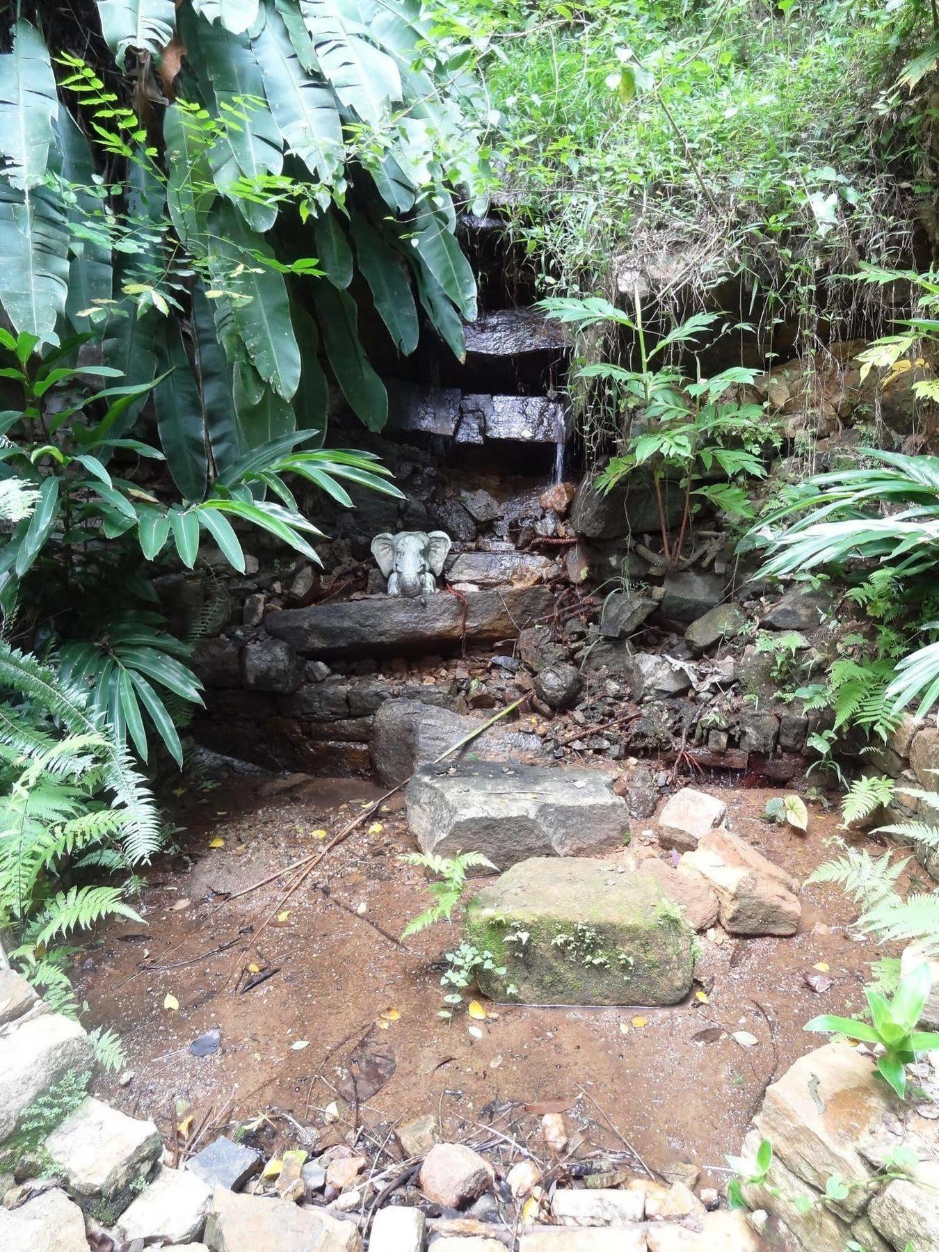 Strathisla Tea Estate Bungalow Matale Εξωτερικό φωτογραφία