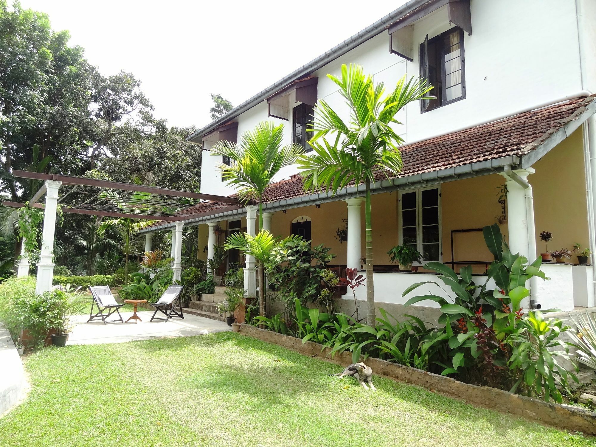 Strathisla Tea Estate Bungalow Matale Εξωτερικό φωτογραφία